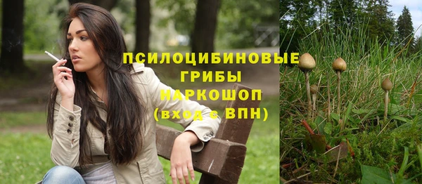 героин Бородино
