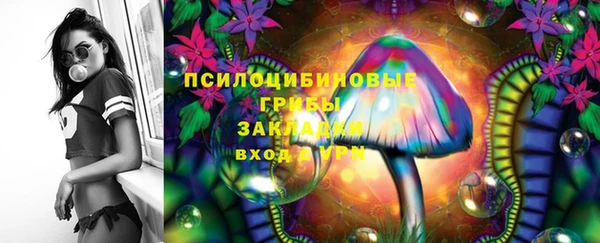 бошки Нея